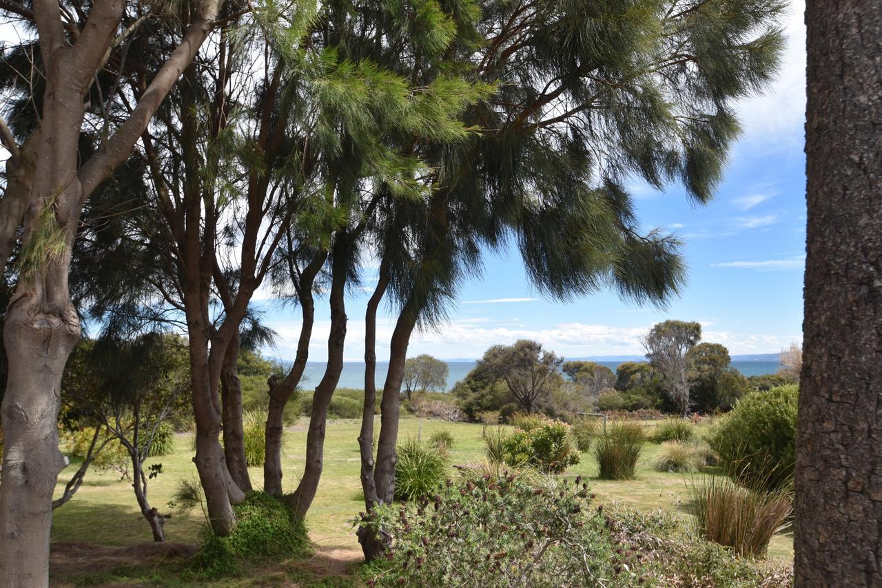 Freycinet Sanctuary @ Oyster Bay Villa Coles Bay Exteriör bild