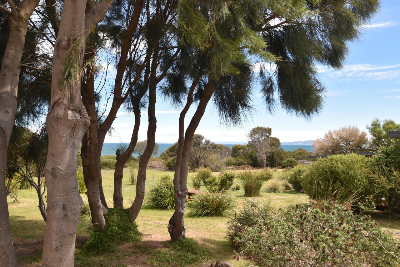 Freycinet Sanctuary @ Oyster Bay Villa Coles Bay Exteriör bild